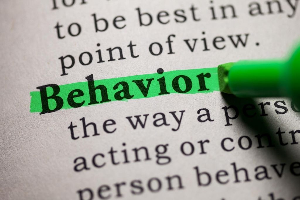 Behavioral perspective