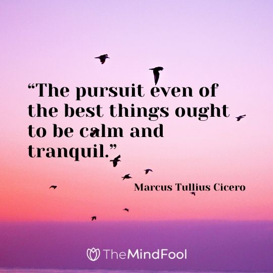 “The pursuit even of the best things ought to be calm and tranquil.” – Marcus Tullius Cicero