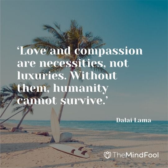 ‘Love and compassion are necessities, not luxuries. Without them, humanity cannot survive.’ - Dalai Lama