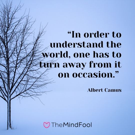 “In order to understand the world, one has to turn away from it on occasion.” - Albert Camus 