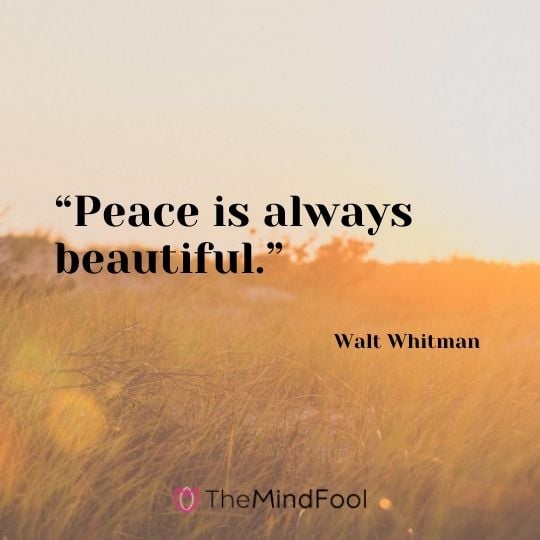 “Peace is always beautiful.” – Walt Whitman