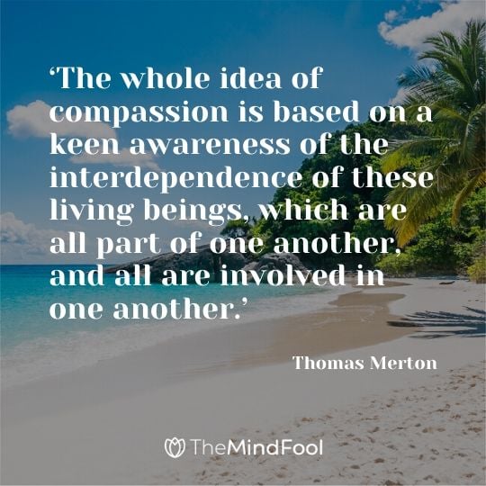 ‘The whole idea of compassion is based on a keen awareness of the interdependence of these living beings, which are all part of one another, and all are involved in one another.’ - Thomas Merton