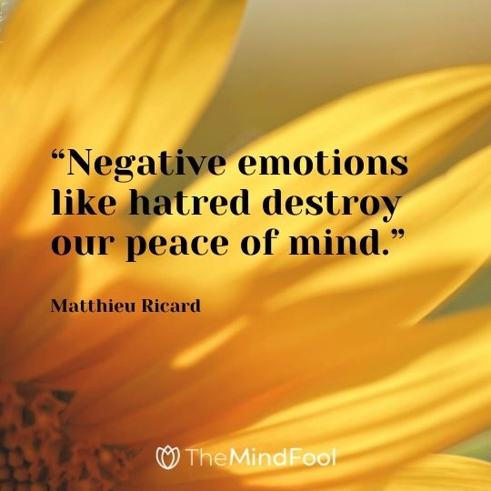 “Negative emotions like hatred destroy our peace of mind.” – Matthieu Ricard