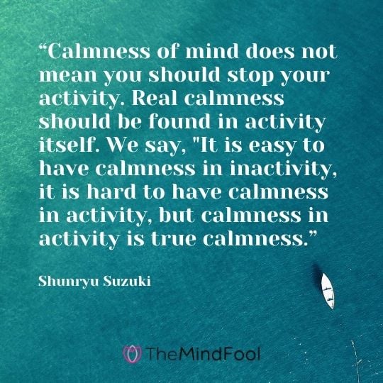 “Calmness of mind does not mean you should stop your activity. Real calmness should be found in activity itself. We say, "It is easy to have calmness in inactivity, it is hard to have calmness in activity, but calmness in activity is true calmness.” ― Shunryu Suzuki