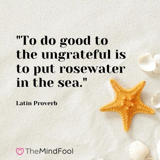 "To do good to the ungrateful is to put rosewater in the sea." - Latin Proverb