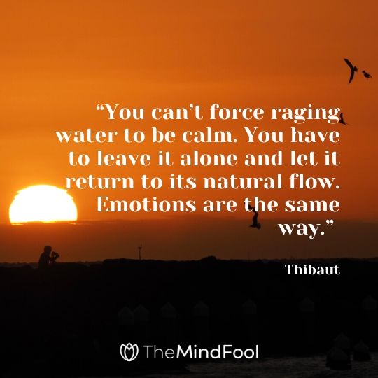 “You can’t force raging water to be calm. You have to leave it alone and let it return to its natural flow. Emotions are the same way.” – Thibaut