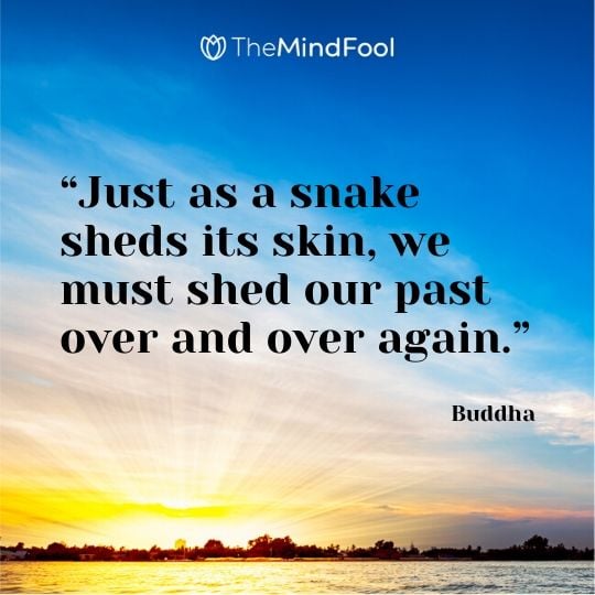 “Just as a snake sheds its skin, we must shed our past over and over again.” - Buddha