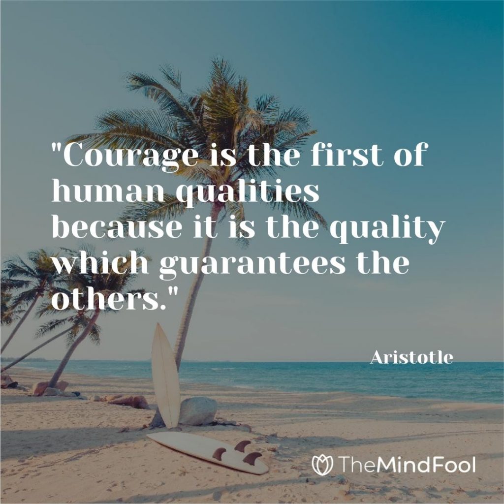 "Courage is the first of human qualities because it is the quality which guarantees the others."- Aristotle