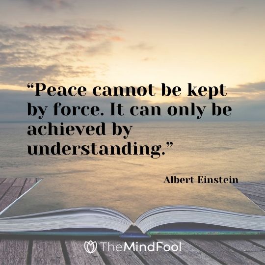 “Peace cannot be kept by force. It can only be achieved by understanding.” – Albert Einstein