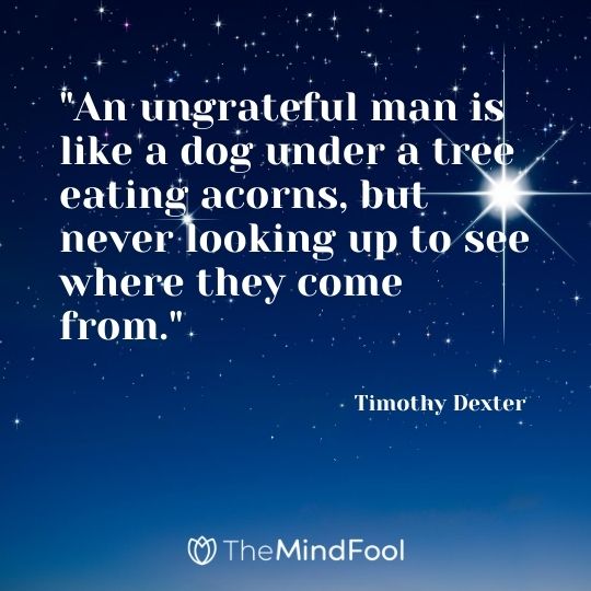"An ungrateful man is like a dog under a tree eating acorns, but never looking up to see where they come from." - Timothy Dexter