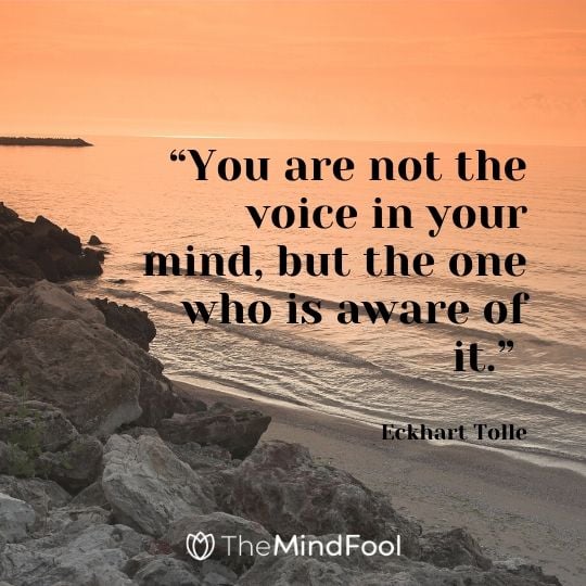 “You are not the voice in your mind, but the one who is aware of it.” - Eckhart Tolle