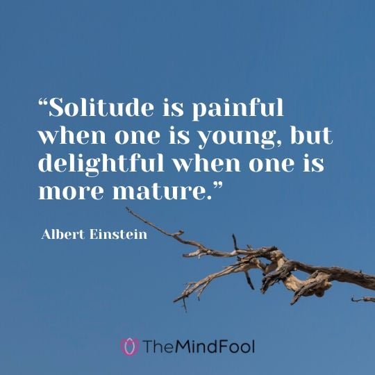 “Solitude is painful when one is young, but delightful when one is more mature.” - Albert Einstein