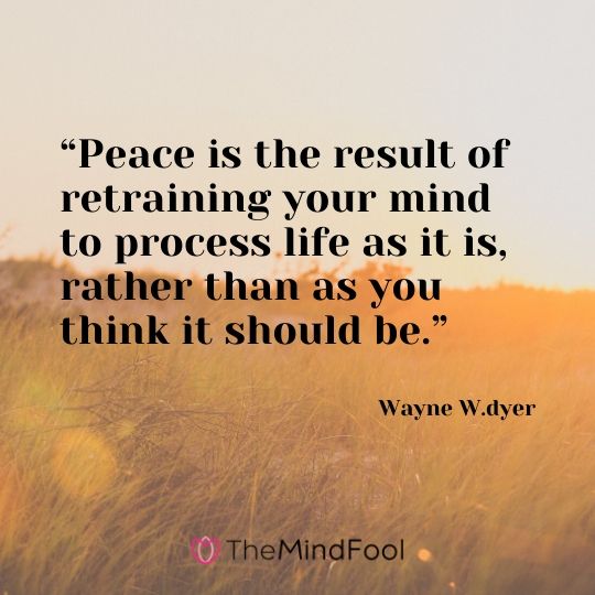 “Peace is the result of retraining your mind to process life as it is, rather than as you think it should be.” – Wayne W.dyer