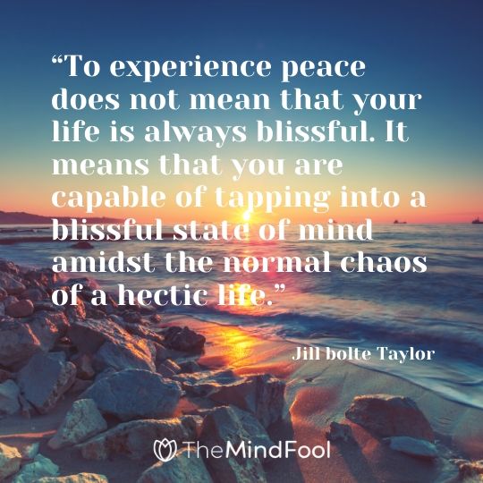 “To experience peace does not mean that your life is always blissful. It means that you are capable of tapping into a blissful state of mind amidst the normal chaos of a hectic life.” – Jill bolte Taylor