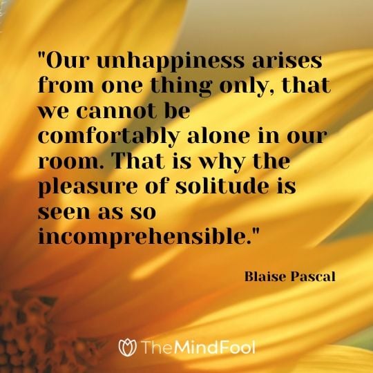 "Our unhappiness arises from one thing only, that we cannot be comfortably alone in our room. That is why the pleasure of solitude is seen as so incomprehensible." - Blaise Pascal