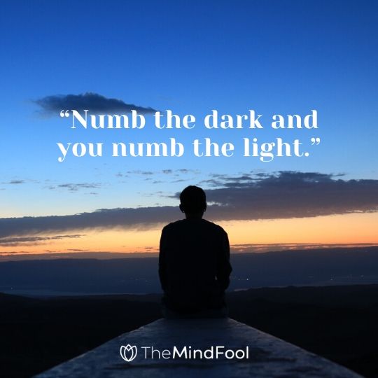 “Numb the dark and you numb the light.”