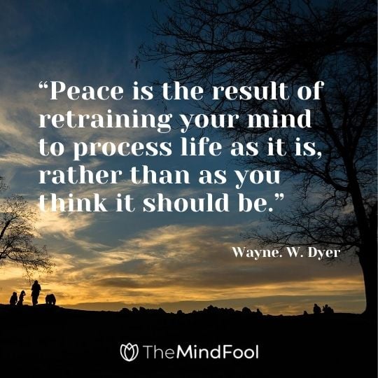 “Peace is the result of retraining your mind to process life as it is, rather than as you think it should be.” – Wayne. W. Dyer