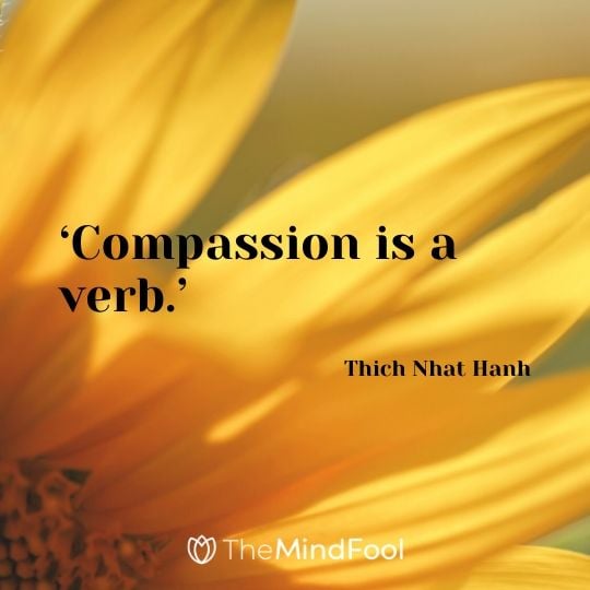 ‘Compassion is a verb.’ - Thich Nhat Hanh