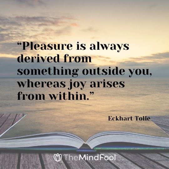 “Pleasure is always derived from something outside you, whereas joy arises from within.” - Eckhart Tolle
