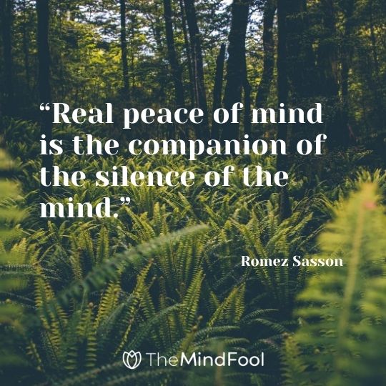 “Real peace of mind is the companion of the silence of the mind.” – Romez Sasson