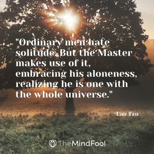 "Ordinary men hate solitude. But the Master makes use of it, embracing his aloneness, realizing he is one with the whole universe." - Lao Tzu