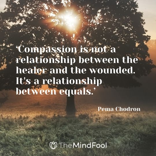 ‘Compassion is not a relationship between the healer and the wounded. It's a relationship between equals.’ - Pema Chodron