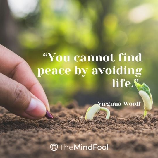 “You cannot find peace by avoiding life.” - Virginia Woolf