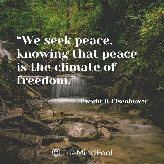 “We seek peace, knowing that peace is the climate of freedom.” – Dwight D. Eisenhower