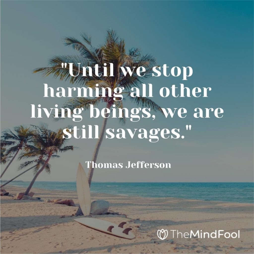 "Until we stop harming all other living beings, we are still savages." ~ Thomas Jefferson