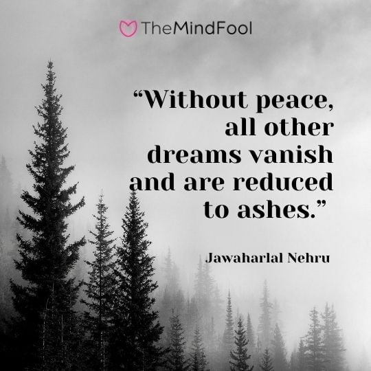 “Without peace, all other dreams vanish and are reduced to ashes.” – Jawaharlal Nehru