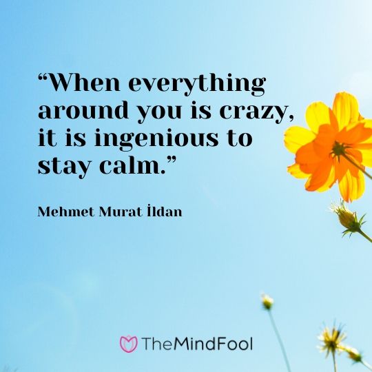 “When everything around you is crazy, it is ingenious to stay calm.” – Mehmet Murat İldan