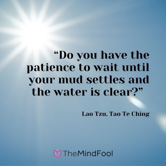 “Do you have the patience to wait until your mud settles and the water is clear?” - Lao Tzu, Tao Te Ching