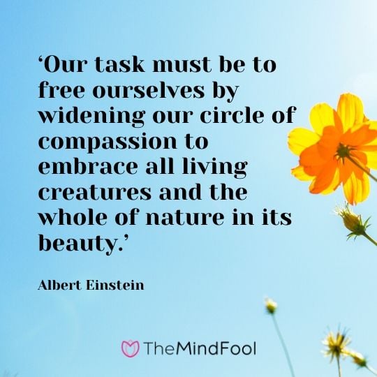 ‘Our task must be to free ourselves by widening our circle of compassion to embrace all living creatures and the whole of nature in its beauty.’ - Albert Einstein