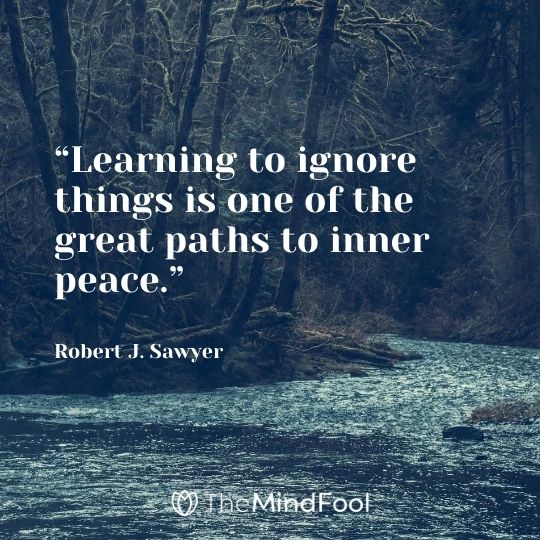 “Learning to ignore things is one of the great paths to inner peace.” – Robert J. Sawyer