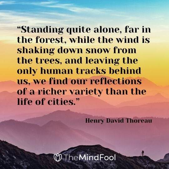 “Standing quite alone, far in the forest, while the wind is shaking down snow from the trees, and leaving the only human tracks behind us, we find our reflections of a richer variety than the life of cities.” - Henry David Thoreau