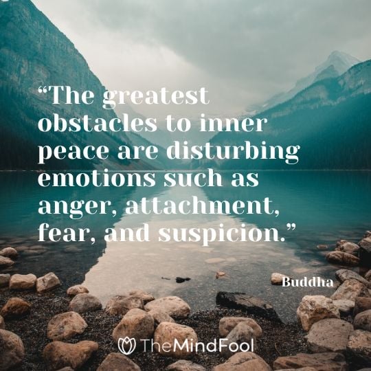 “The greatest obstacles to inner peace are disturbing emotions such as anger, attachment, fear, and suspicion.” - Buddha