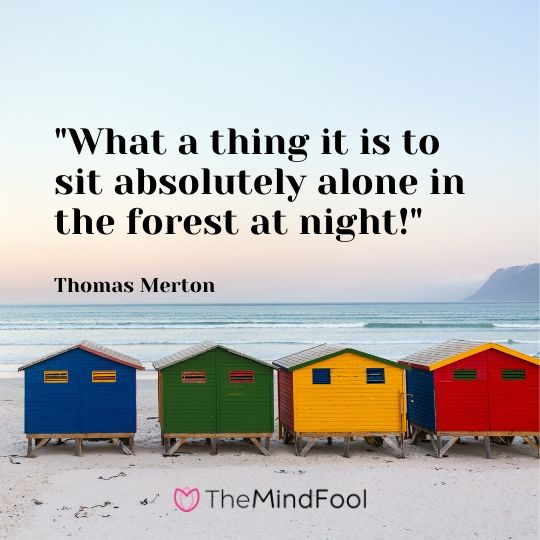 "What a thing it is to sit absolutely alone in the forest at night!" - Thomas Merton