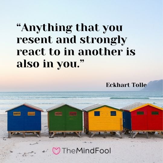 “Anything that you resent and strongly react to in another is also in you.”  - Eckhart Tolle