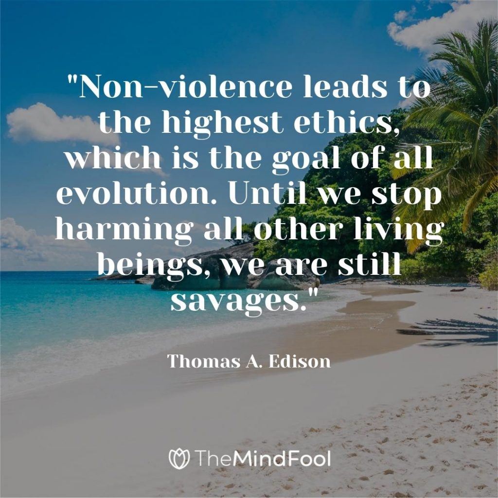 "Non-violence leads to the highest ethics, which is the goal of all evolution. Until we stop harming all other living beings, we are still savages." ~ Thomas A. Edison