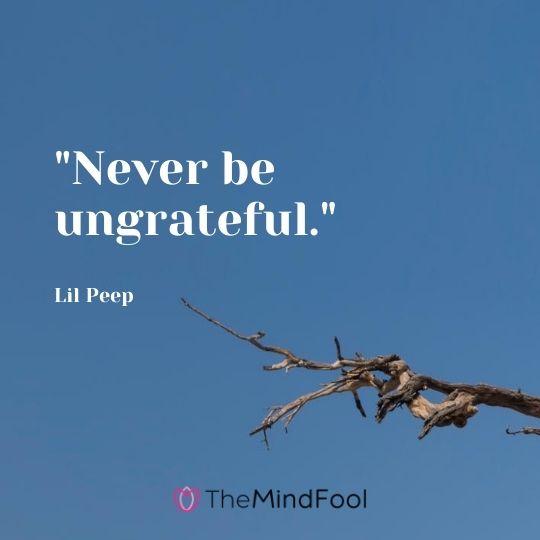 "Never be ungrateful."-Lil Peep