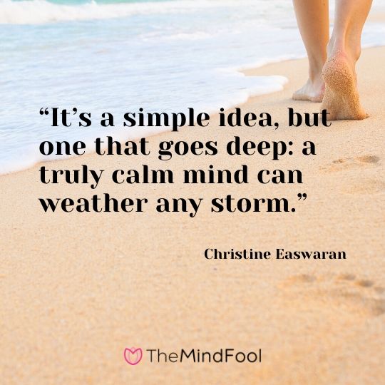 “It’s a simple idea, but one that goes deep: a truly calm mind can weather any storm.” – Christine Easwaran