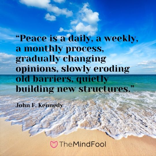 “Peace is a daily, a weekly, a monthly process, gradually changing opinions, slowly eroding old barriers, quietly building new structures.” - John F. Kennedy