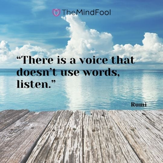 “There is a voice that doesn’t use words, listen.” - Rumi