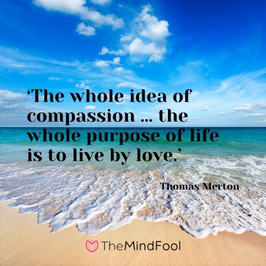 ‘The whole idea of compassion … the whole purpose of life is to live by love.’ - Thomas Merton