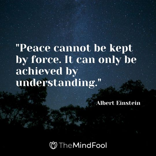 "Peace cannot be kept by force. It can only be achieved by understanding." - Albert Einstein