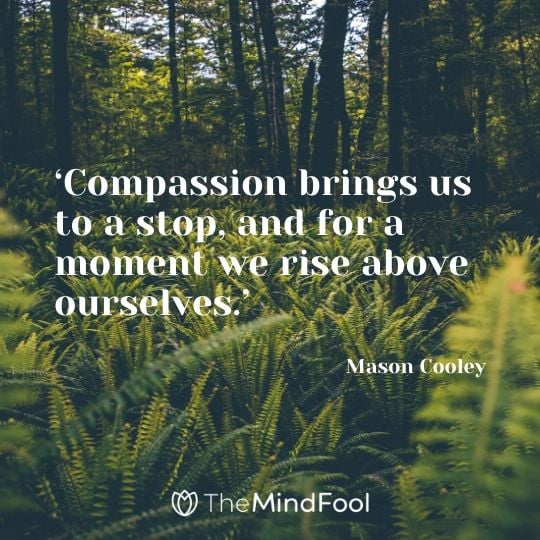 ‘Compassion brings us to a stop, and for a moment we rise above ourselves.’ – Mason Cooley