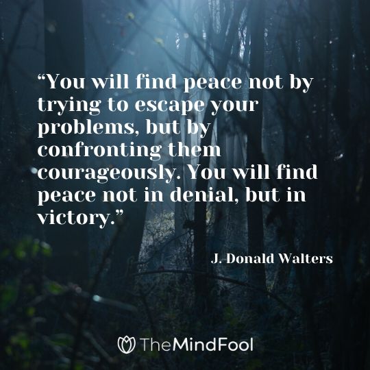 “You will find peace not by trying to escape your problems, but by confronting them courageously. You will find peace not in denial, but in victory.” - J. Donald Walters