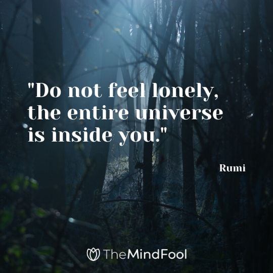 "Do not feel lonely, the entire universe is inside you." - Rumi