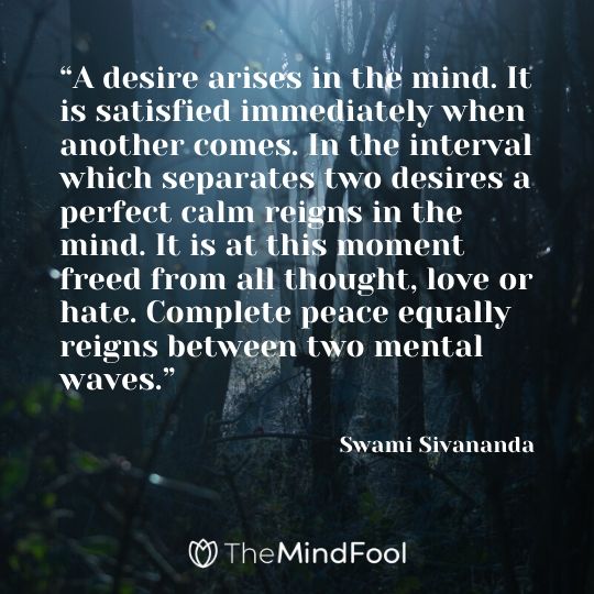 “A desire arises in the mind. It is satisfied immediately when another comes. In the interval which separates two desires a perfect calm reigns in the mind. It is at this moment freed from all thought, love or hate. Complete peace equally reigns between two mental waves.” – Swami Sivananda