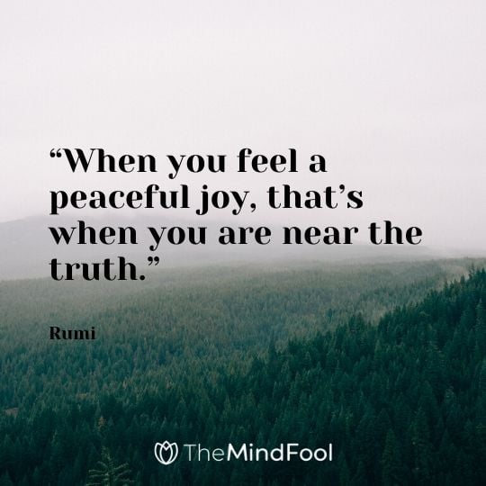 “When you feel a peaceful joy, that’s when you are near the truth.” - Rumi